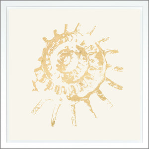 Spiral Shell — nature and landscape fine art print shown from another angle