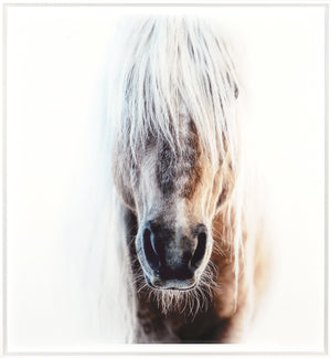 Palomino wall art featuring a close-up of a horse's face with long white mane.