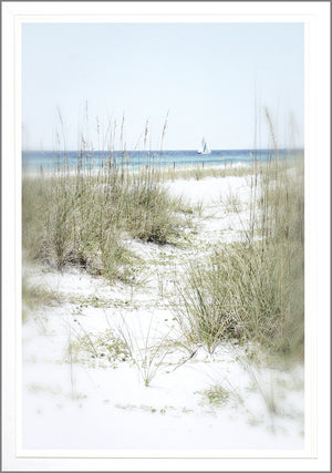 Dune Vista Iv framed art print