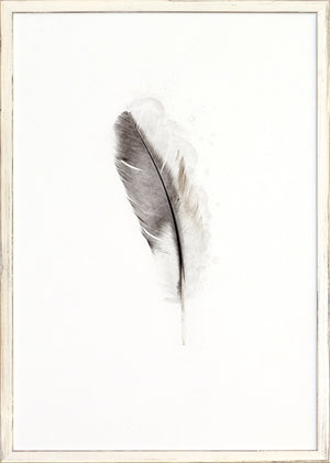 One Feather — nature and landscape fine art print in neutral tones at Laurie Yapp Home