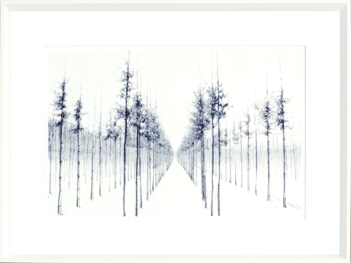 Indigo Landscape Series IV wall art featuring a serene tree-lined path in blue and white tones.