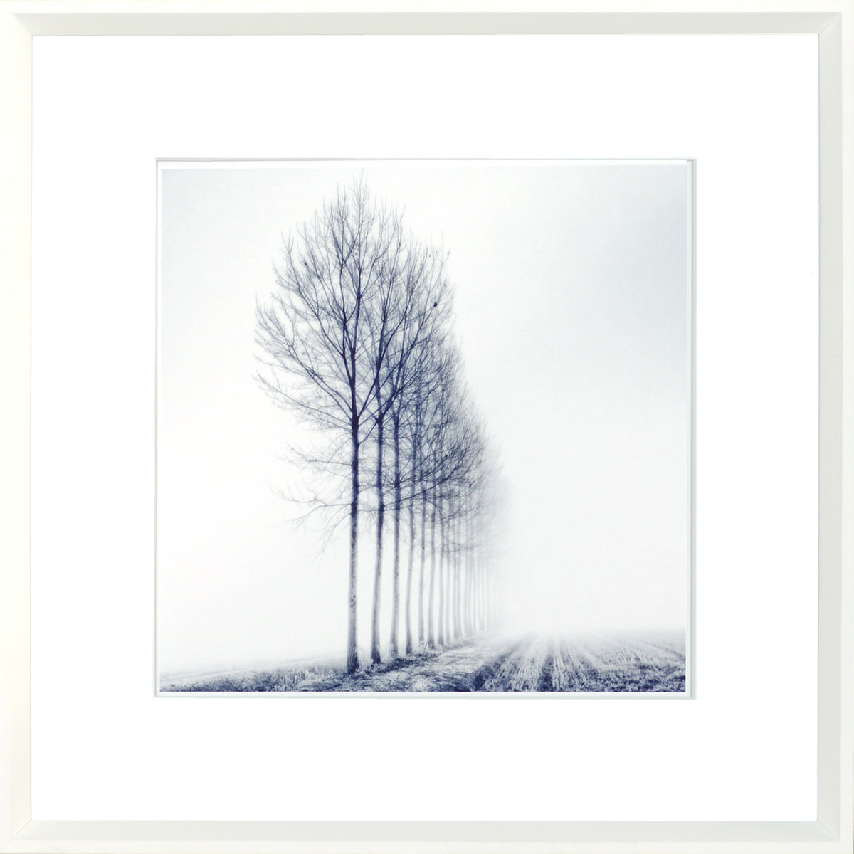 Indigo Landscape Series VIII wall art featuring a row of bare trees in fog, framed in white.