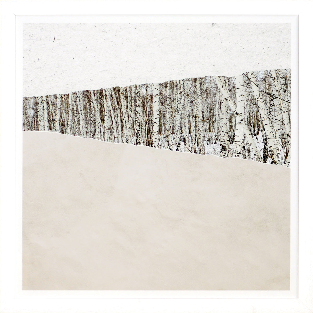 At A Glance I wall art featuring birch trees with a textured white background and beige base.