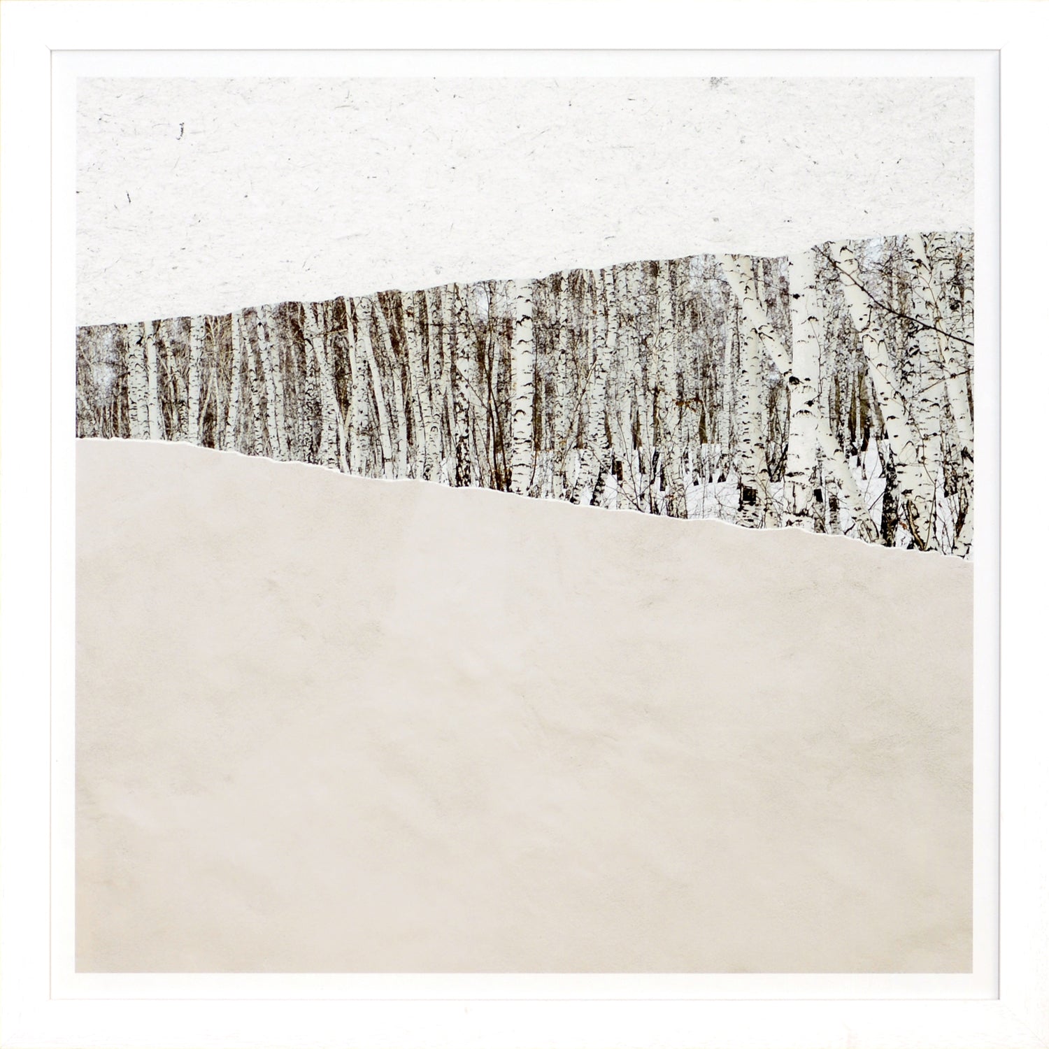 At A Glance I wall art featuring birch trees with a textured white background and beige base.
