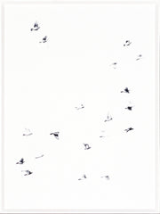 33 × 45 po – Sous verre
