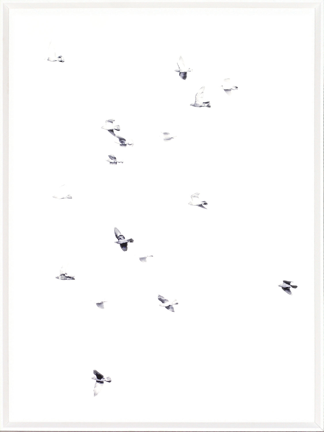 Flight Path II — nature and landscape fine art print shown from another angle