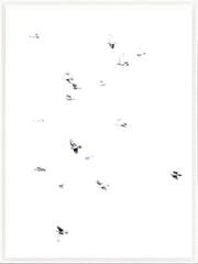 33 x 45 po – Sous verre
