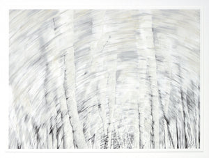 Static Motion — nature and landscape fine art print shown from another angle
