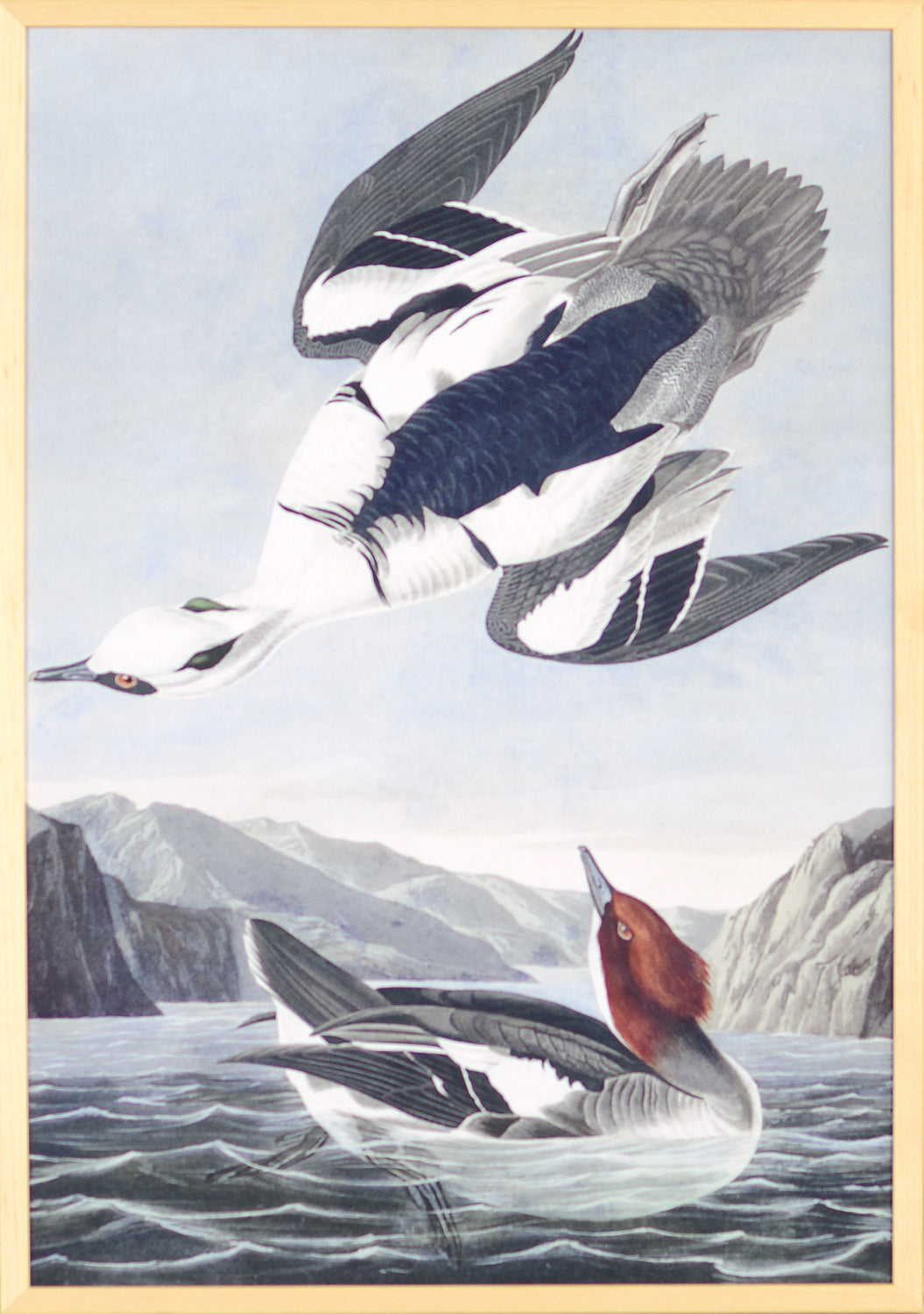 Audubon – White Nun — nature and landscape fine art print in cool tones at Laurie Yapp Home