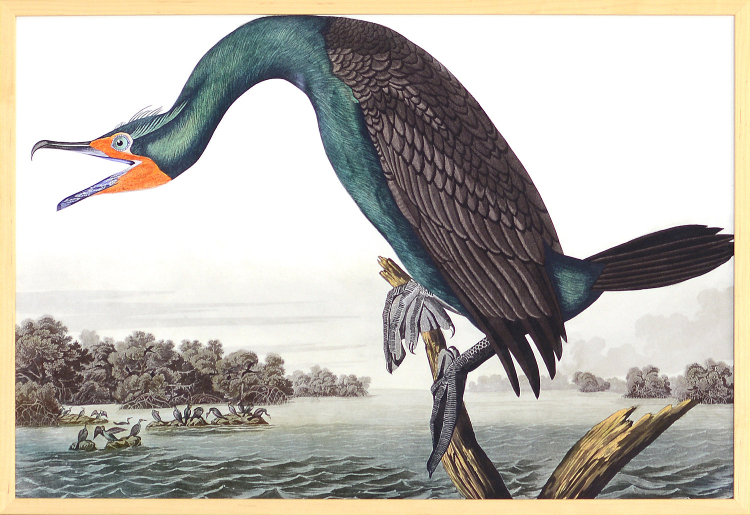 Audubon – Florida Cormorant — nature and landscape fine art print in cool tones at Laurie Yapp Home