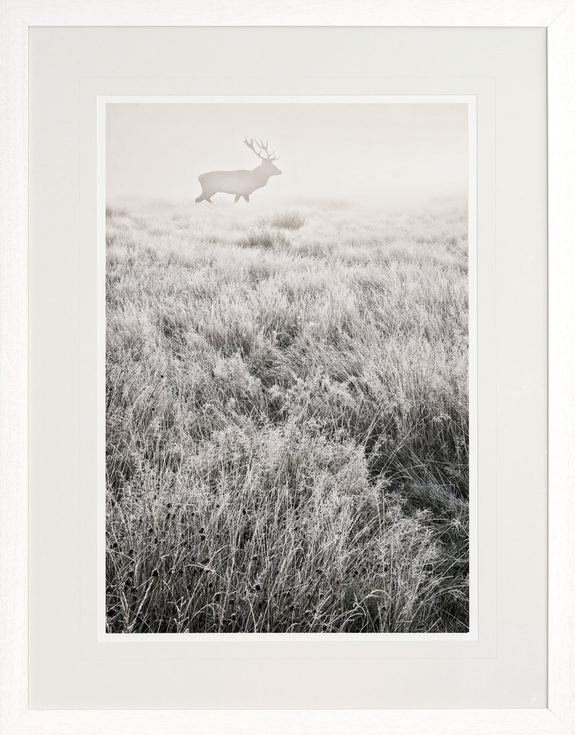 Mystical Morning Mist I — nature and landscape fine art print in neutral tones at Laurie Yapp Home