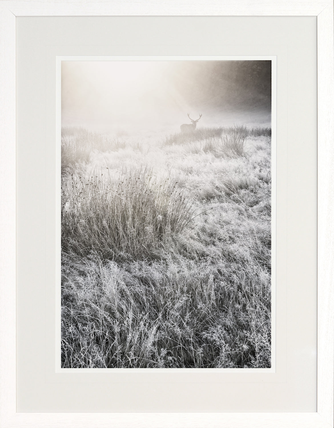 Mystical Morning Mist II — nature and landscape fine art print in neutral tones at Laurie Yapp Home