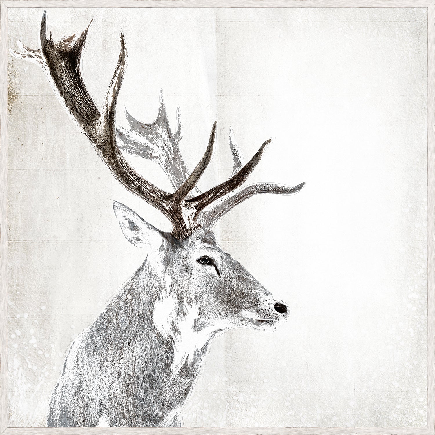 Stag Portrait framed art print, 41.25 × 41.25 in