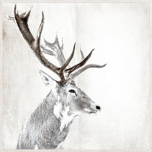 Stag Portrait framed art print, 41.25 × 41.25 in