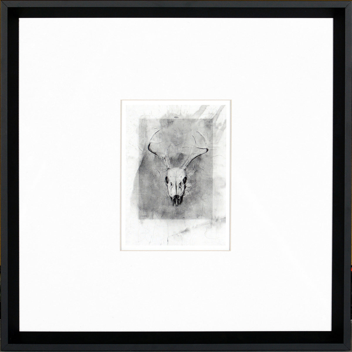 Skull — nature and landscape fine art print in neutral tones at Laurie Yapp Home