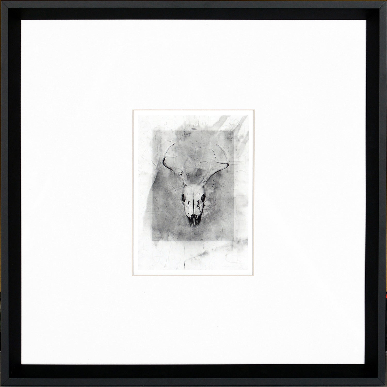 Skull — nature and landscape fine art print in neutral tones at Laurie Yapp Home