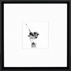 17 × 17 po – Cadre noir