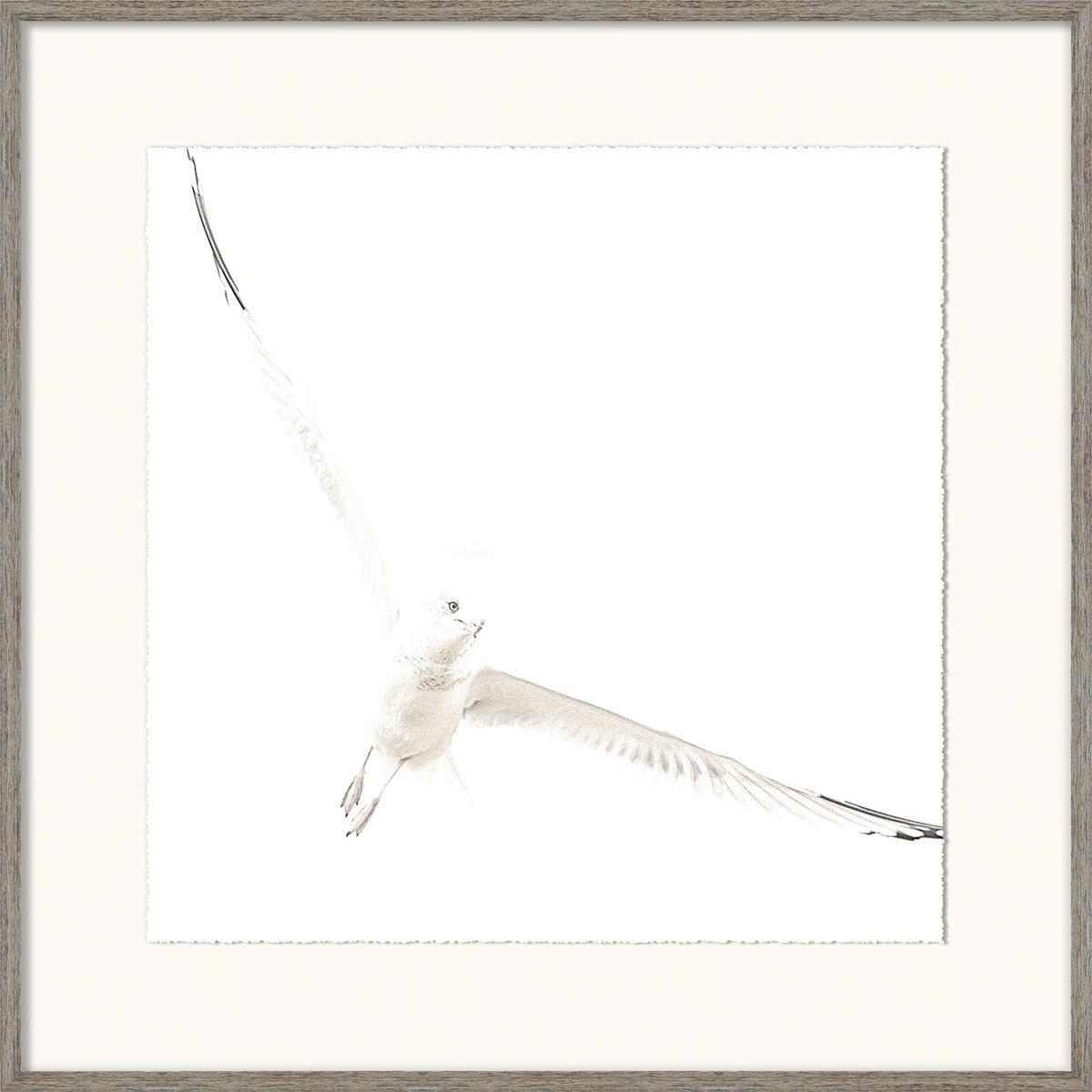Soar I — nature and landscape fine art print in neutral tones at Laurie Yapp Home