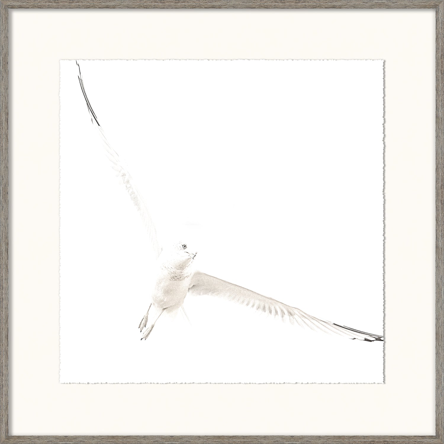 Soar I — nature and landscape fine art print in neutral tones at Laurie Yapp Home