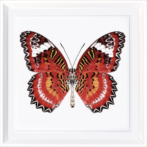 Vivid Papillons IV — nature and landscape fine art print in bold primary tones at Laurie Yapp Home