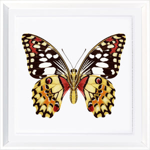 Vivid Papillons V — nature and landscape fine art print in warm tones at Laurie Yapp Home