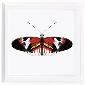 Vivid Papillons VII — nature and landscape fine art print in bold primary tones at Laurie Yapp Home