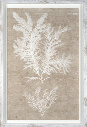 Nature Printed On Linen IV wall art featuring white botanical prints on a textured beige background.