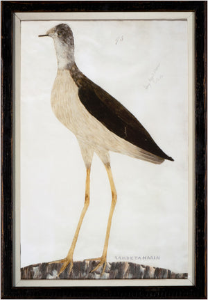 Minaggio Plate 93 — nature and landscape fine art print in neutral tones at Laurie Yapp Home