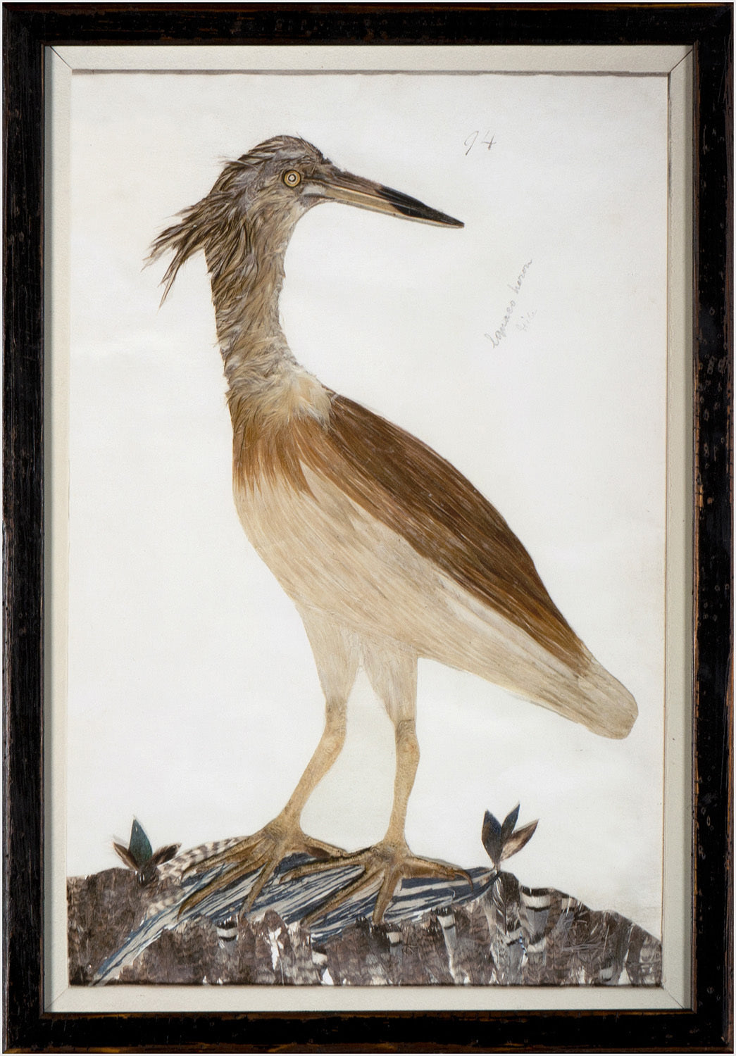 Minaggio Plate 94 — nature and landscape fine art print in neutral tones at Laurie Yapp Home
