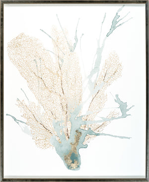 Spa Coral I framed art print