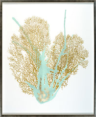 31 × 38 po