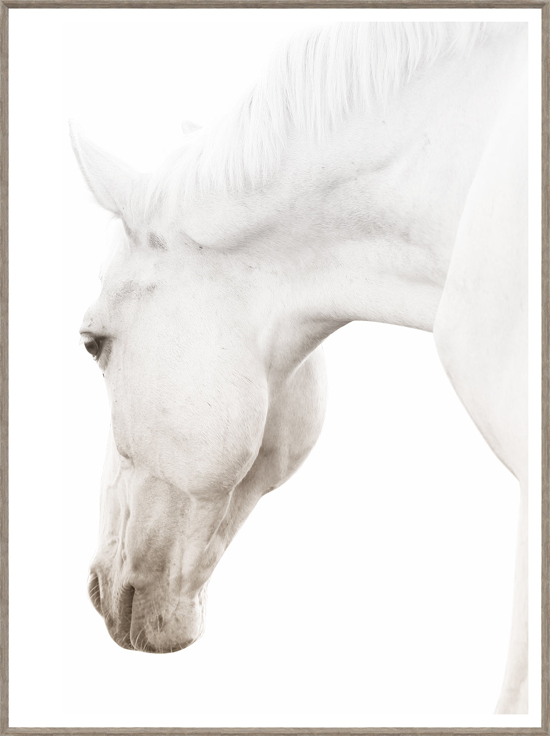 Argent Cheval Ii framed art print