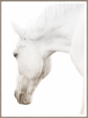 Argent Cheval Ii framed art print