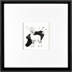 17 × 17 po – Cadre noir