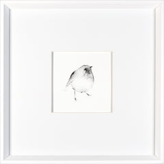 17 × 17 po – Cadre Blanc