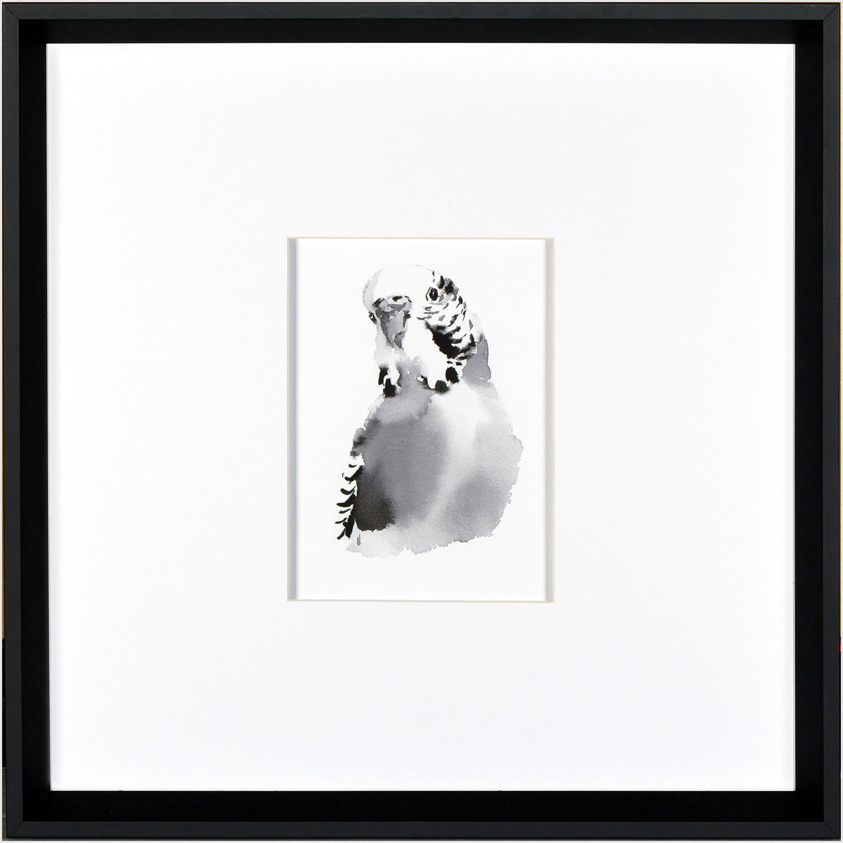 Budgie Bird wall art featuring a watercolor illustration in black and white, framed in black.