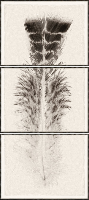 Taupe Plume I – Triptych wall art featuring a detailed feather design in neutral tones.