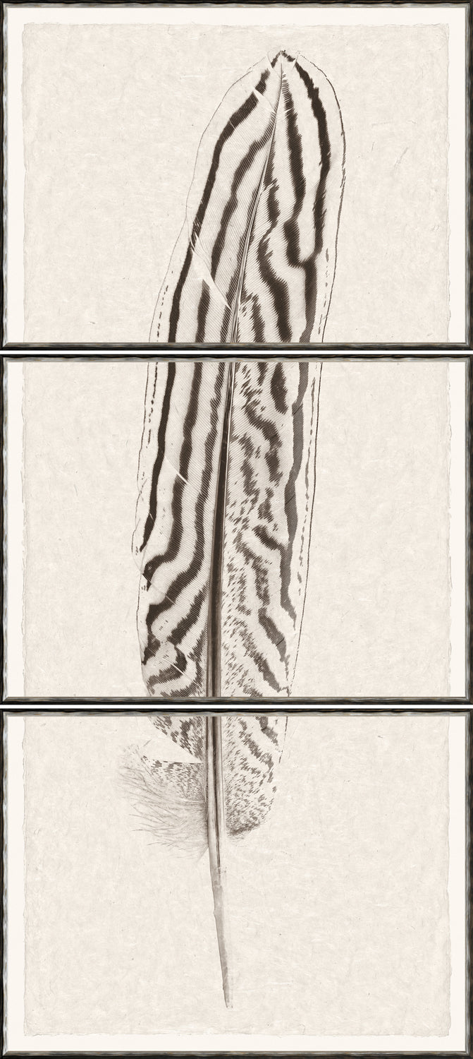 Taupe Plume II – Triptych wall art featuring a detailed feather illustration in neutral tones.