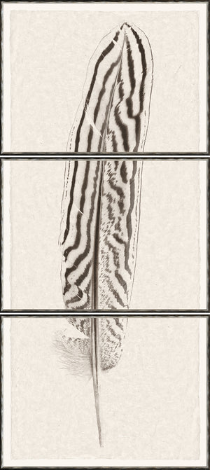 Taupe Plume II – Triptych wall art featuring a detailed feather illustration in neutral tones.