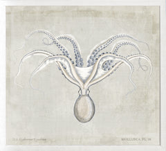 23,25 × 21,25 po