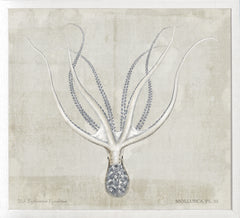 23,25 × 21,25 po