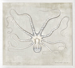 23,25 × 21,25 po
