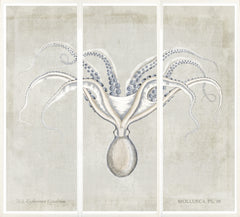 56,25 × 64,75 po
