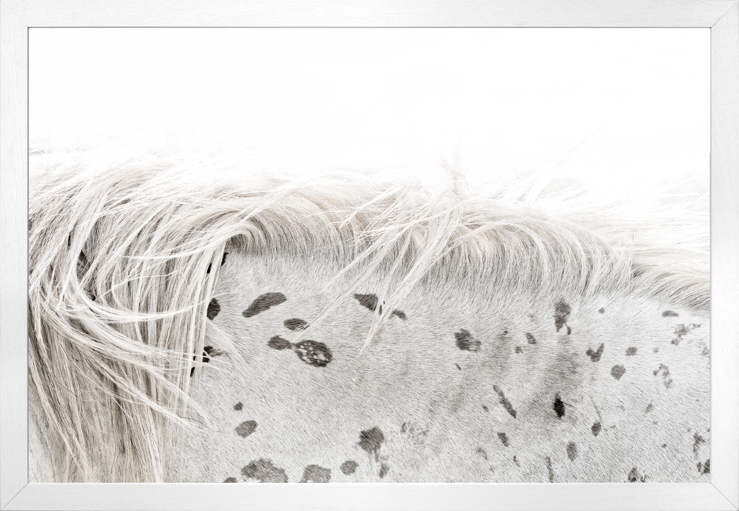 Appaloosa — nature and landscape fine art print shown from another angle