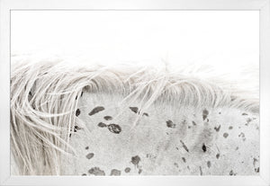 Appaloosa — nature and landscape fine art print shown from another angle