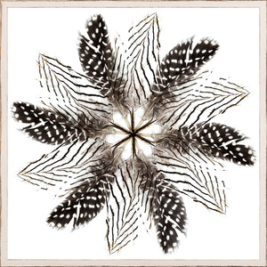 Feather Mandala II wall art featuring a circular arrangement of black and white feathers on a white background.