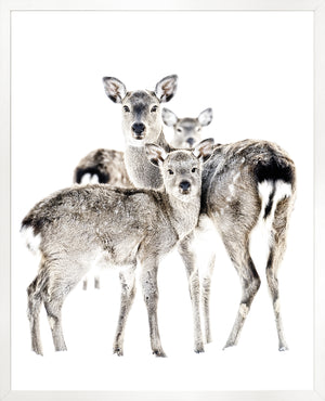 Maternal Vigil — nature and landscape fine art print in neutral tones at Laurie Yapp Home