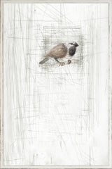 27 × 40 po