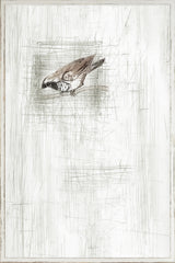 27 × 40 po