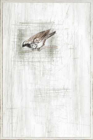 Captured Etching Ii framed art print